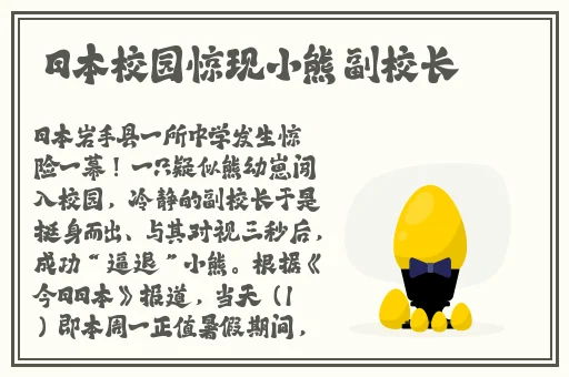 中国Ⅹ站安装包